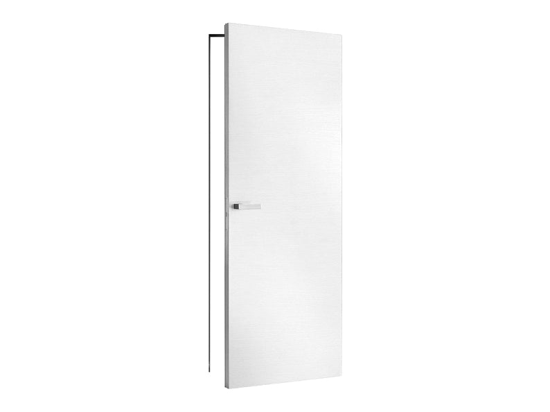 Flush and Wall Doors